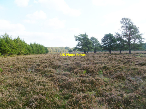 Photo 6"x4" Poundhill Heath North Weirs c2011