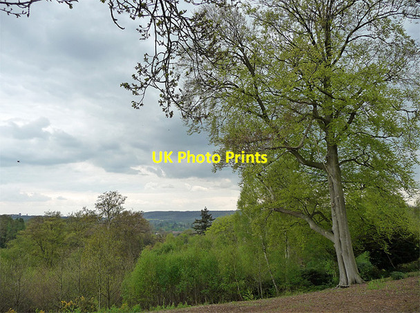 Photo 6"x4" View from the Terrace, Dorking (2) Dorking c2011