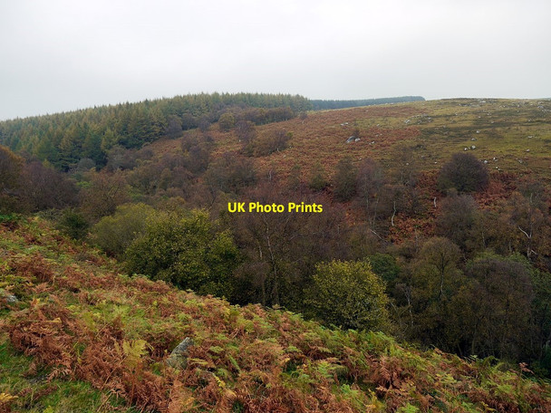 Photo 6"x4" Millstone Cleugh & Edlingham Wood Edlingham c2011