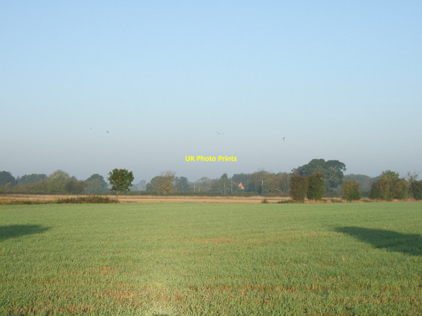 Photo 6"x4" Farmland near Bishopthorpe Bishopthorpe\/SE5947 c2011