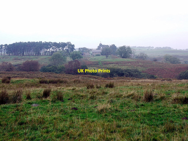 Photo 6"x4" Rough pasture south of Wandystead Edlingham c2011