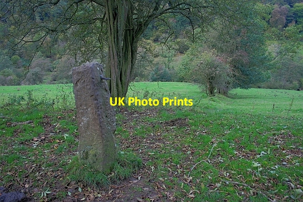 Photo 6"x4" Old Gate Post and Field Boundary Levisham c2011