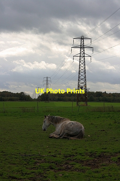 Photo 6"x4" Electricity Transmission Pylons Lockton c2011