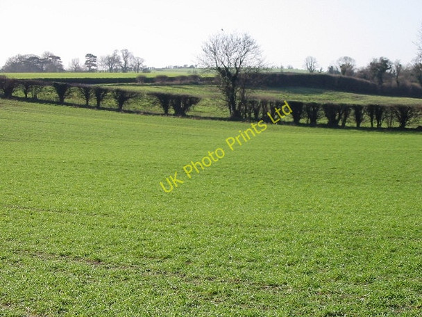 Photo 6"x4" View across farmland Great Mongeham c2007