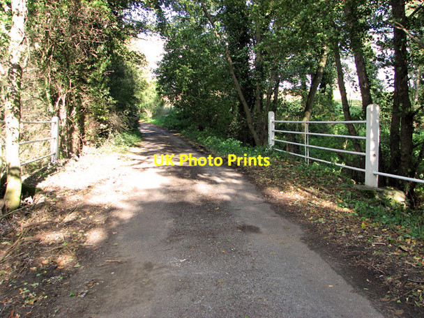 Photo 6"x4" Byng Bridge, Pettistree Wickham Market c2011