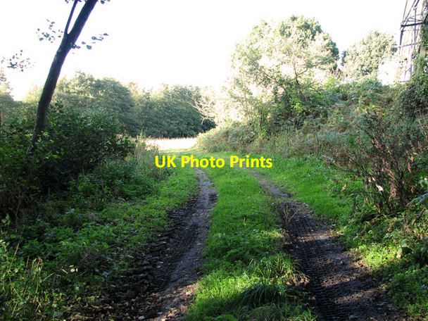 Photo 6"x4" Footpath by Byng Bridge, Pettistree Wickham Market c2011