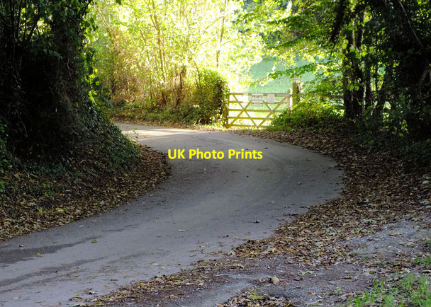 Photo 6"x4" Church Lane, Throop Pitt c2011