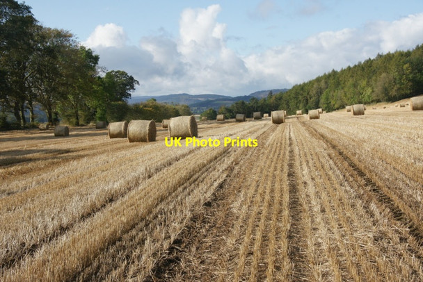 Photo 6"x4" Barley stubble, Lethendy Kirkton of Lethendy c2011