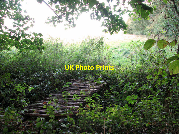 Photo 6"x4" Footbridge over ditch, Hasketon Woodbridge\/TM2649 c2011
