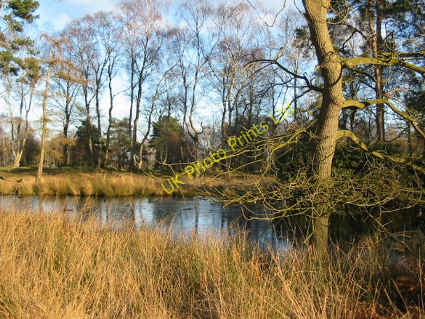 Photo 6"x4" Melting ice on pond at Strensall Common Strensall c2007