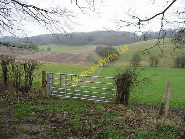 Photo 6"x4" View across Lynsore Bottom Lynsore Bottom c2007