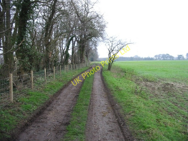 Photo 6"x4" Track to Telegraph Farm Betteshanger c2007