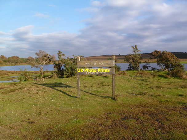 Photo 6"x4" Holmsley Walk, warning sign Burley Beacon c2011