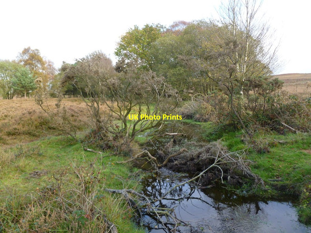 Photo 6"x4" Whitten Pond, ditch Burley Beacon c2011