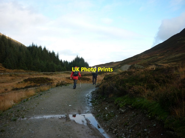 Photo 6"x4" Walking to Loch Earn via Glen Ample Ardchullarie More c2011 P2
