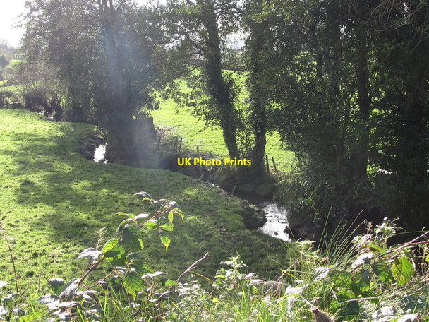 Photo 6"x4" Meandering stream viewed from the New Line road Milltown\/J1436 c2011