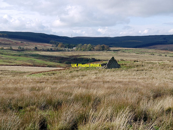 Photo 6"x4" The ruined farmhouse of Flamborough Edlingham c2011