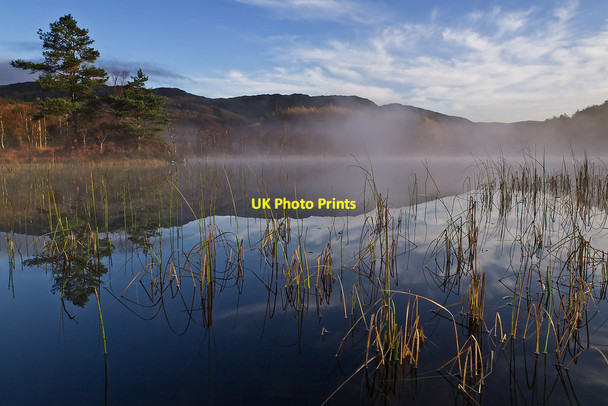 Photo 6"x4" Morning Mist, Loch Trool Caldons Wood c2011