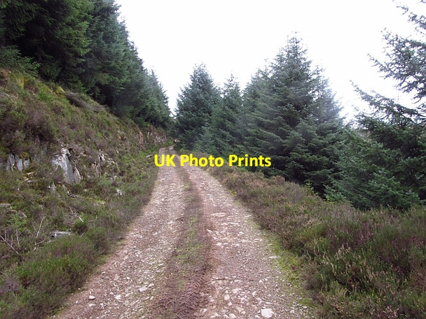 Photo 6"x4" Road, Craigie Cleuch Williamslee c2011