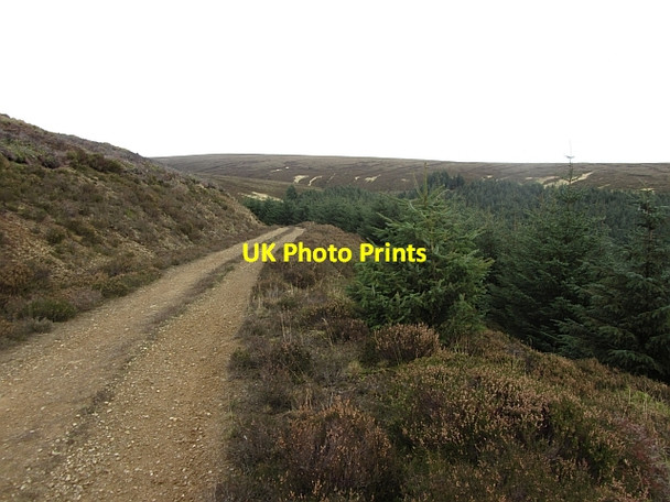 Photo 6"x4" Road above Williamslee Hope Williamslee c2011