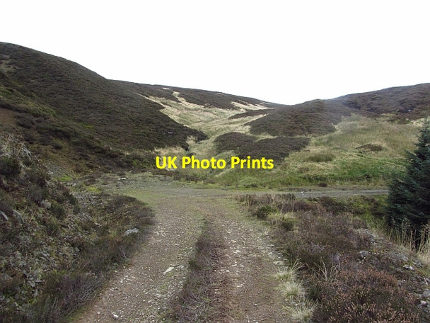 Photo 6"x4" North Grain Garvald Punks c2011