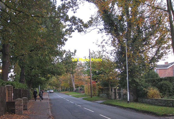 Photo 6"x4" The Balk Overtown\/SE3516 c2011