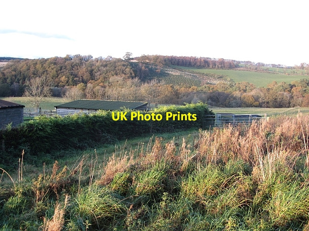 Photo 6"x4" View over the Mouse Water Lanark c2011