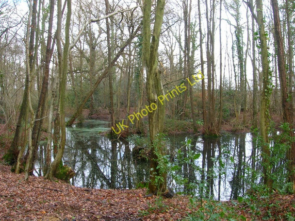 Photo 6"x4" Pond, Cherrytree Shaw Beckley\/TQ8523 c2007