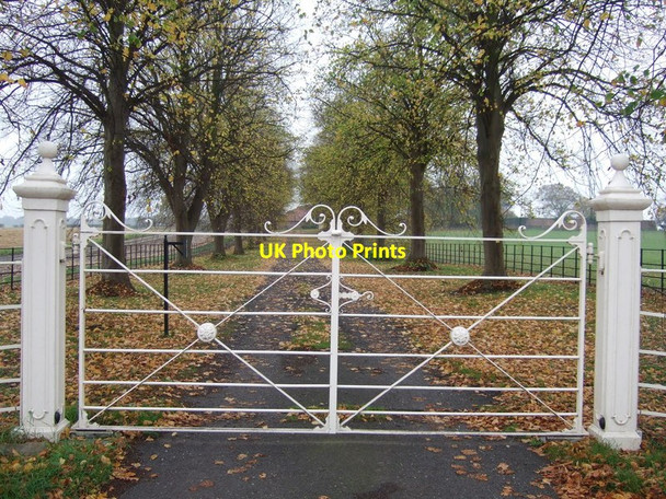 Photo 6"x4" Track to Mattersey Hill Farm Mattersey c2011