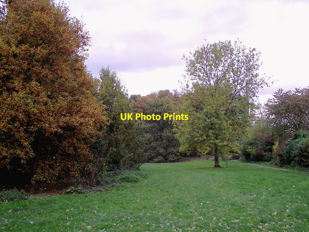 Photo 6"x4" Woodlands Walk in Penn, Wolverhampton Sedgley c2011