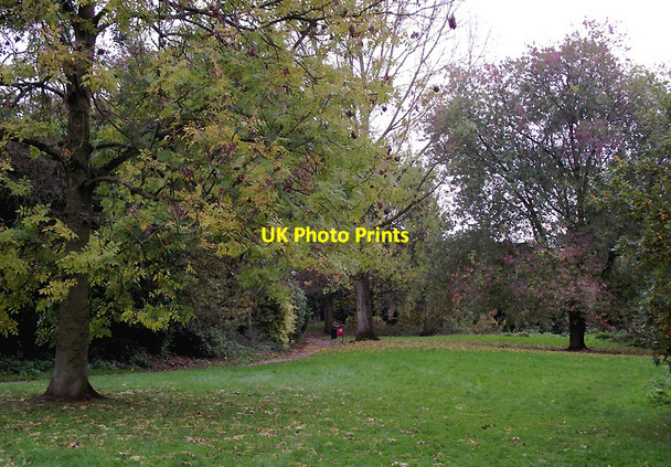 Photo 6"x4" Woodlands Walk in Penn, Wolverhampton Sedgley c2011