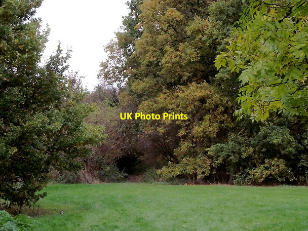 Photo 6"x4" Park and woodland in Penn, Wolverhampton Wolverhampton c2011