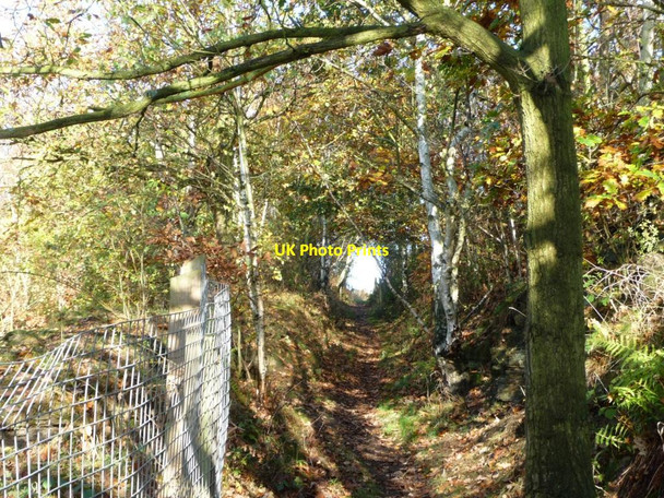 Photo 6"x4" Light at the end of the tunnel Overtown\/SE3516 c2011