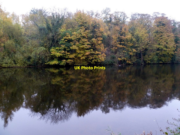 Photo 6"x4" The River Don Conisbrough c2011
