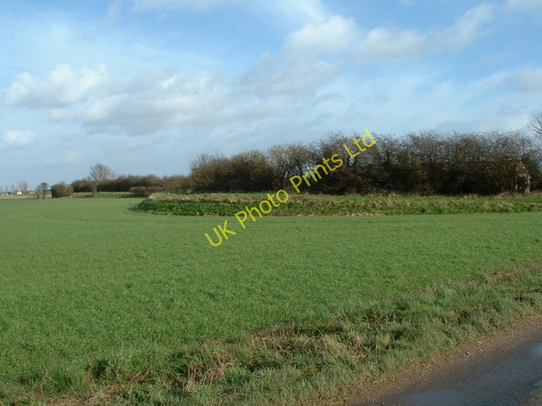 Photo 6"x4" Old Sea Bank, Walpole St Peter Walpole Marsh c2007