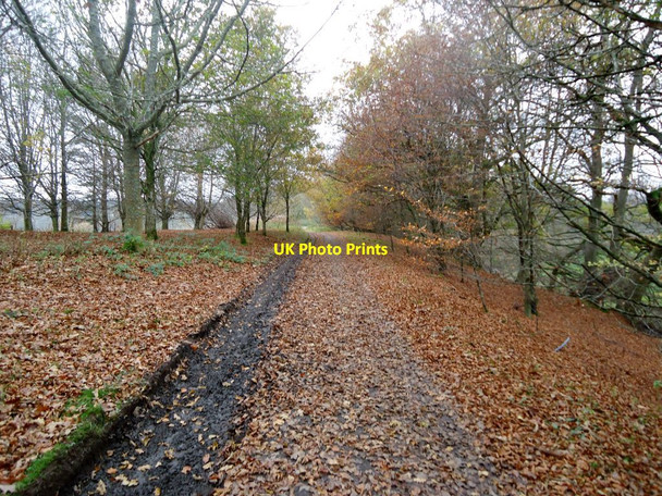 Photo 6"x4" Doune, access track Doune\/NN7301 c2011