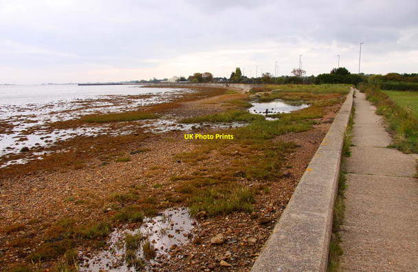 Photo 6"x4" The Solent Way by Langstone Harbour Portsmouth\/SU6501 c2011