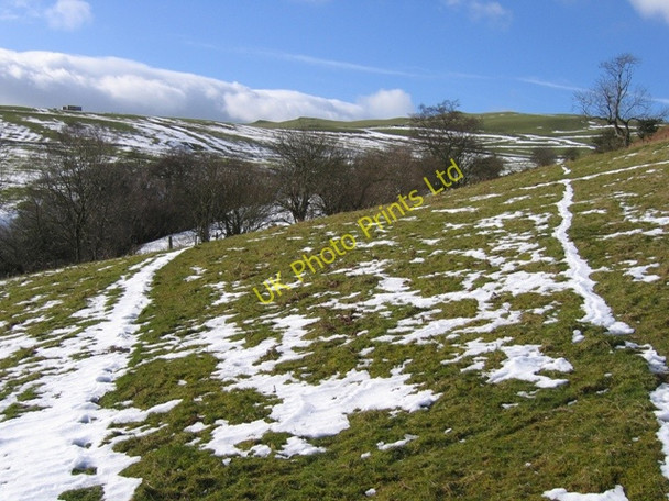 Photo 6"x4" Field and Hedges Bryn-yr-ogof c2007