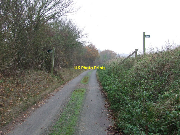Photo 6"x4" Footpath Crossing Stanstead c2011