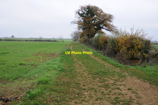 Photo 6"x4" Track and footpath Fairford c2011