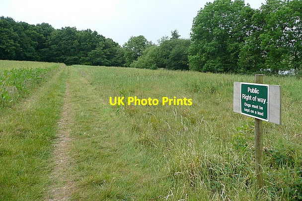 Photo 6"x4" Public footpath through Ewhurst Park Ramsdell c2011