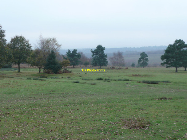 Photo 6"x4" View over Ashdown Forest  Duddleswell c2011