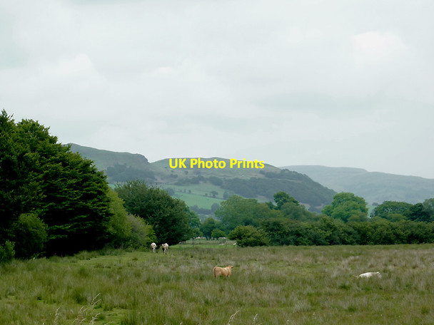 Photo 6"x4" Rough grazing near Ystradmeurig, Ceredigion Ystradmeurig c2011