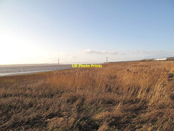 Photo 6"x4" Reed beds by the Humber Hessle\/TA0326 c2011