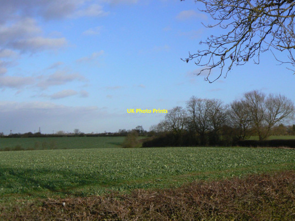 Photo 6"x4" Burton Wolds Six Hills c2011