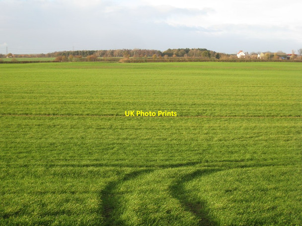 Photo 6"x4" View towards Kilham Farm and Plantation from Common Lane Auckley c2011