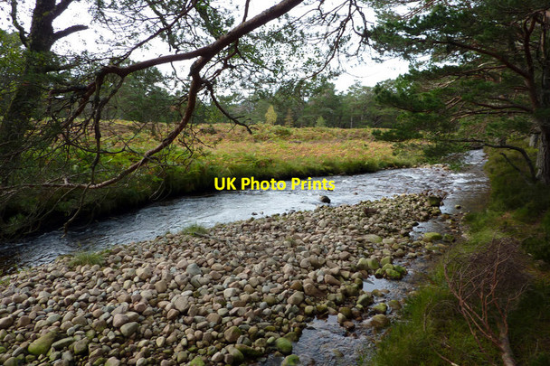Photo 6"x4" The Allt Druidh, Rothiemurchus Coylumbridge c2011