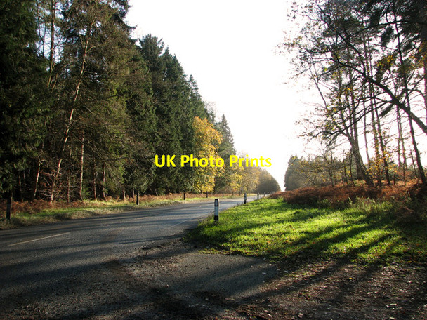 Photo 6"x4" The B1106 road past Bury Bottom, Brandon Brandon\/TL7886 c2011