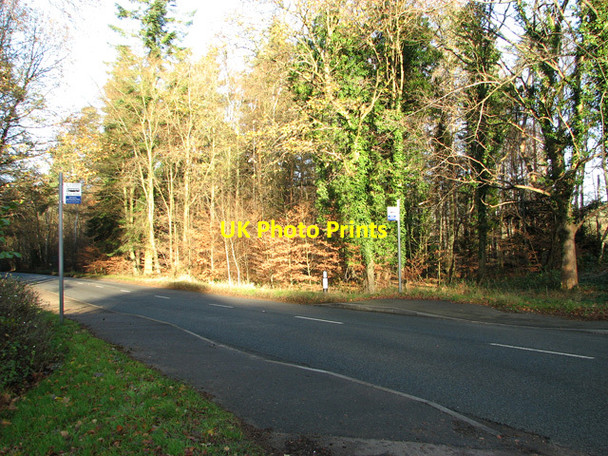 Photo 6"x4" Bus stop by the entrance to Brandon Country Park on the B1106 Brandon\/TL7886 c2011