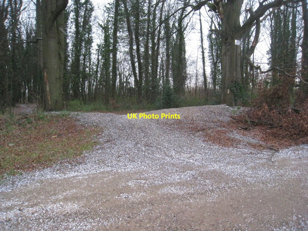 Photo 6"x4" Hailstones at Cocked Hat Plantation Welbourn c2011